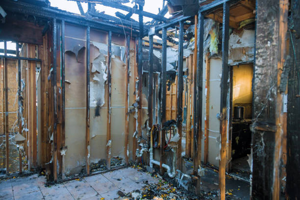 Professional Fire Damage Removal technician working in College Park, MD